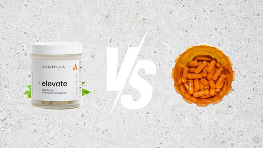 Avantera Elevate vs Adderall